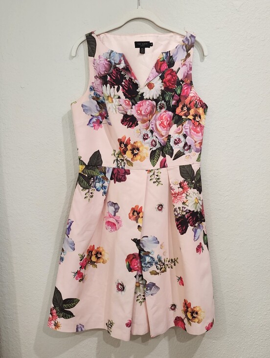 The Limited Dresses & Skirts - Ted Baker London Deavon Oil Painting Floral Fit-and-Flare Dress Size 4